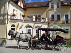 Romantický pobyt v lázeňském hotelu Goethe